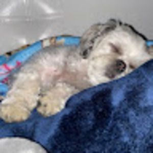 Meet your Posher, Felicia